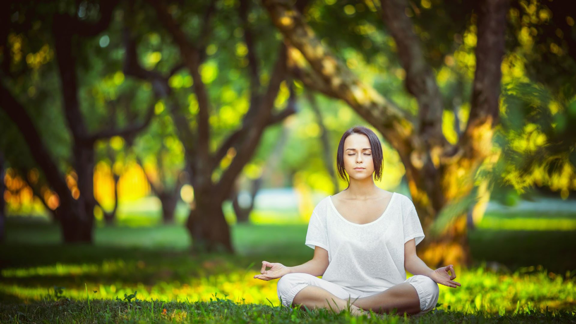 半岛体育全站-哈兰德中超首位下课主帅细节曝光，从天选之人到开季即弃的荒诞纪实，哈兰德天选坠落记，中超首位下课主帅的42天荒诞纪实